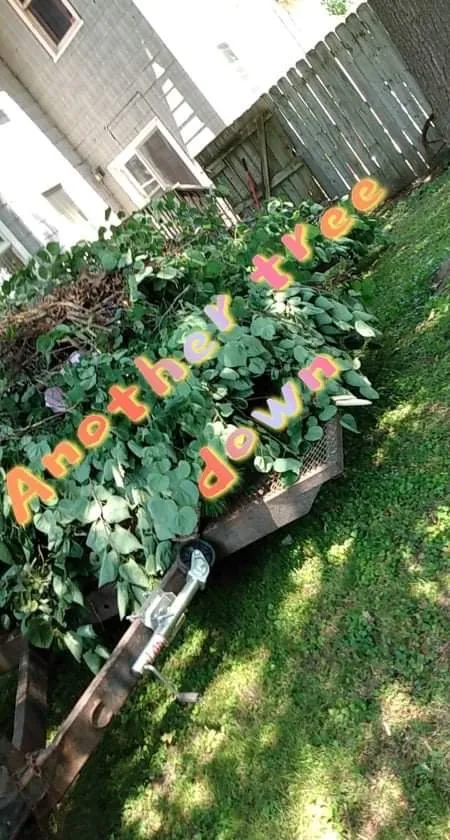 Reliable yard maintenance for outdoor upgrades across East Galesburg, IL - I Saw It