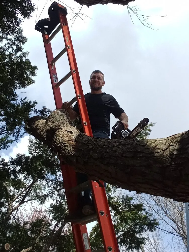 Professional landscaping services in East Galesburg, IL - I Saw It