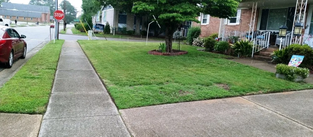 Top-rated yard cleanup service in Portsmouth, VA by I See Green Landscaping