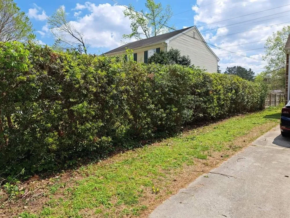 Local landscape design experts serving Portsmouth, VA - I See Green Landscaping