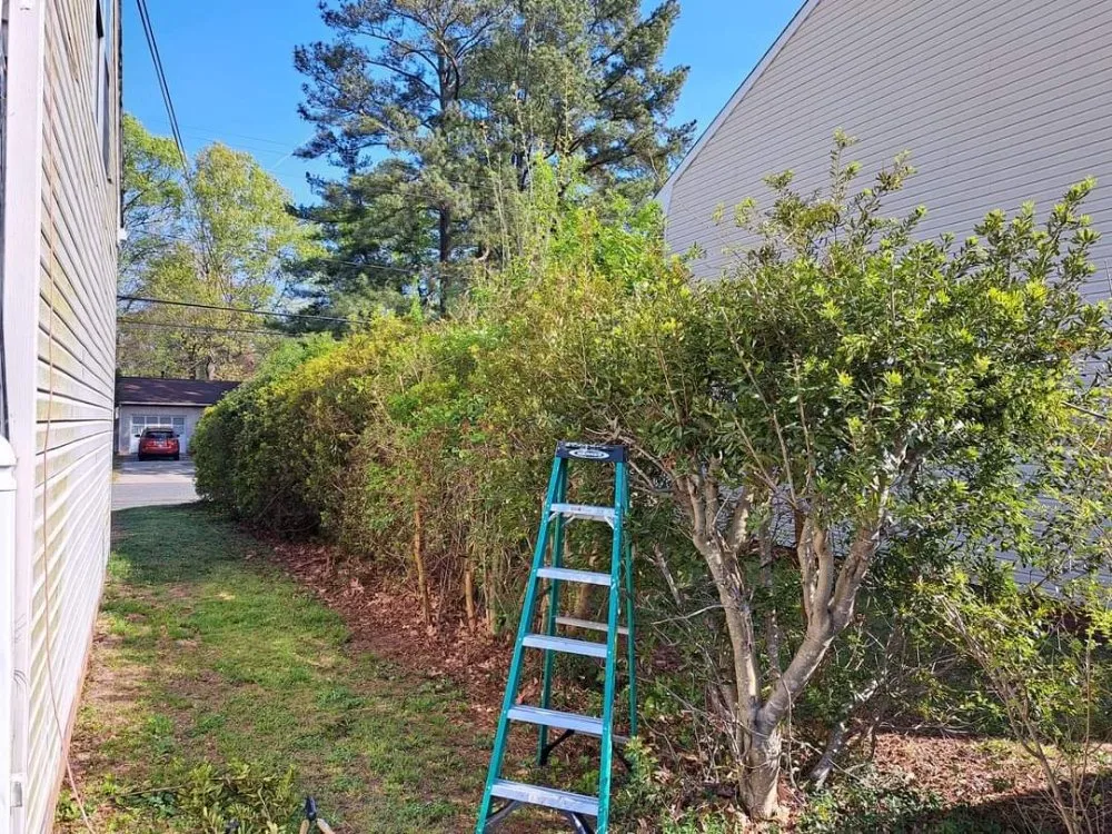 Reliable lawn mowing service for year-round maintenance across Portsmouth, VA - I See Green Landscaping