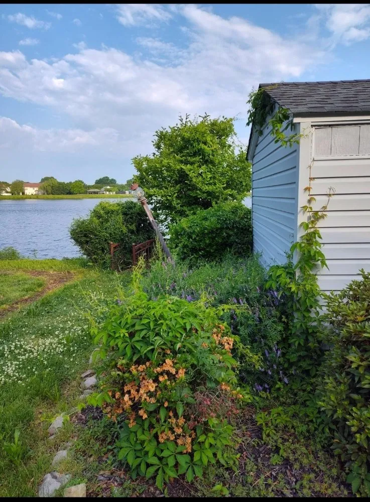 Top-rated outdoor landscaping experts serving Portsmouth, VA - I See Green Landscaping