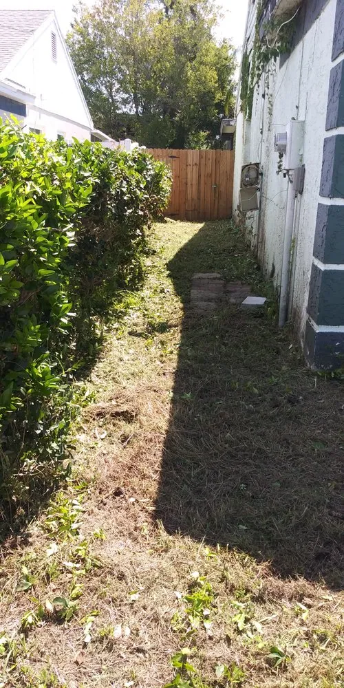 Expert landscape design experts serving Wimauma, FL - I T S Lawn Services