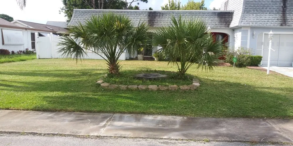 Expert landscape installation for year-round maintenance across Wimauma, FL - I T S Lawn Services