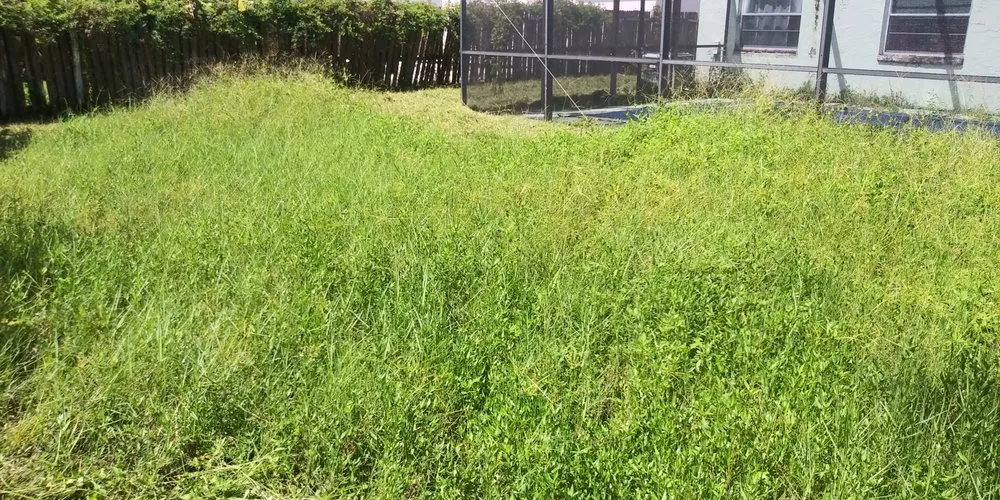 Trusted residential landscaping for outdoor upgrades across Wimauma, FL - I T S Lawn Services