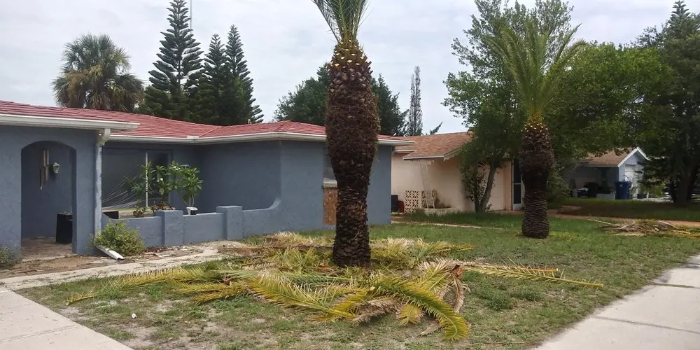 Local landscape installation in Wimauma, FL by I T S Lawn Services