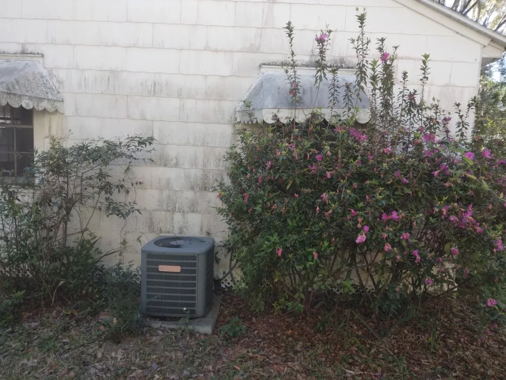 Local yard maintenance experts serving Gainesville, FL - I Work For You Lawn & Landscaping