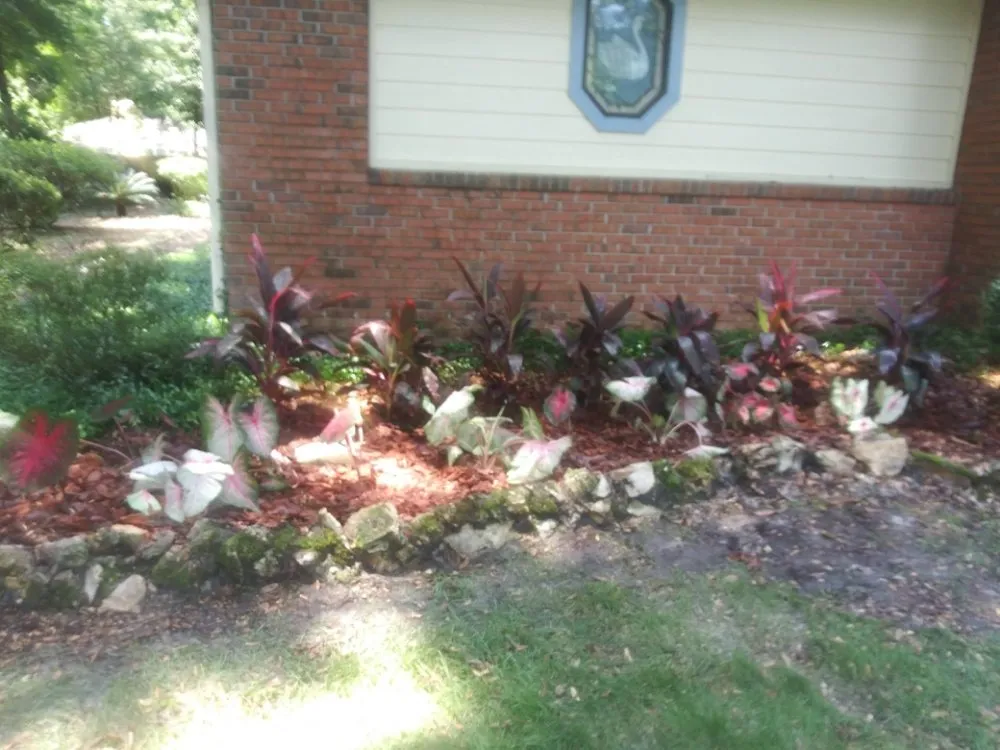 Custom garden landscaping for homes in Gainesville, FL by I Work For You Lawn & Landscaping