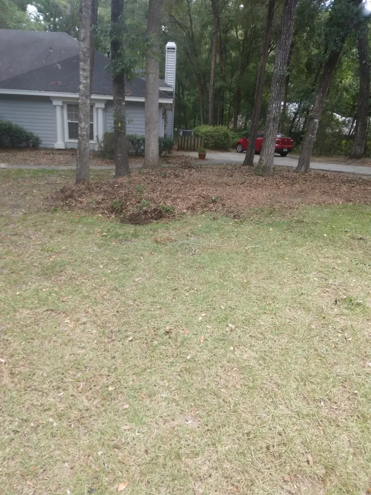 Affordable yard maintenance in Gainesville, FL by I Work For You Lawn & Landscaping