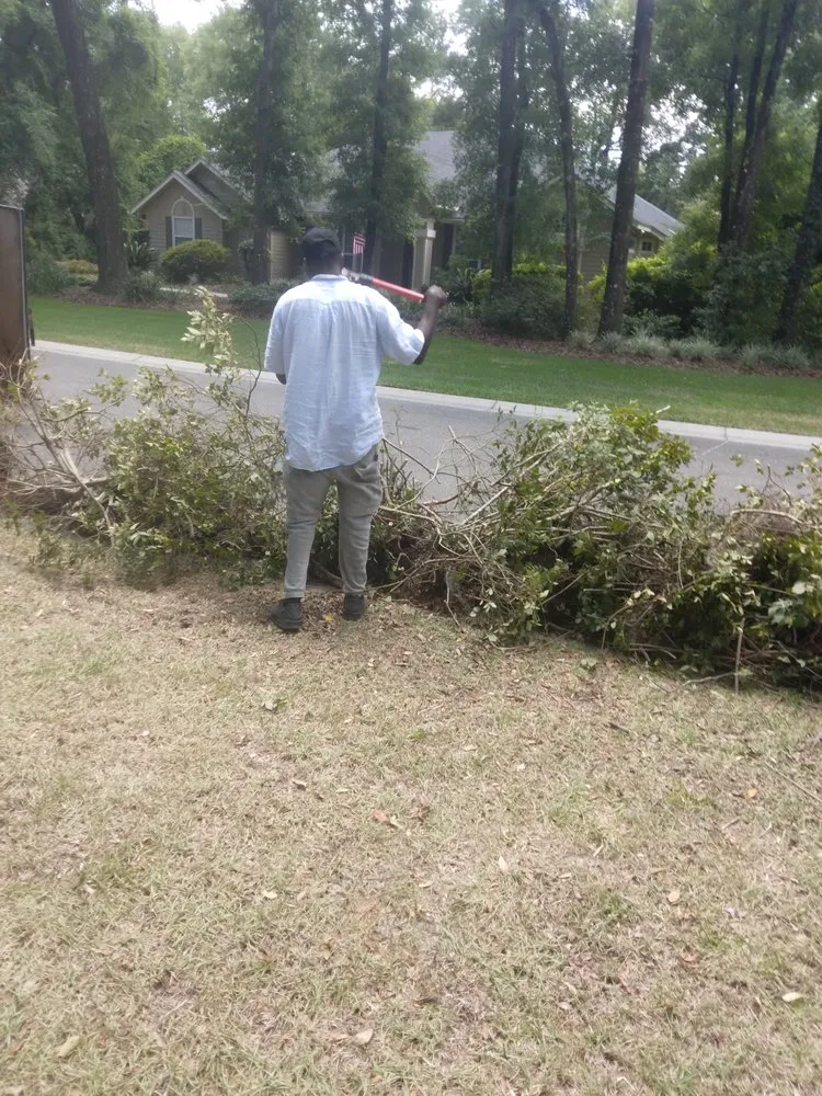 Professional yard maintenance in Gainesville, FL - I Work For You Lawn & Landscaping