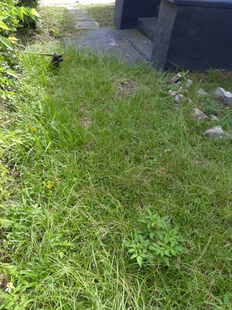 Affordable residential landscaping for beautiful yards in Gainesville, FL by I Work For You Lawn & Landscaping