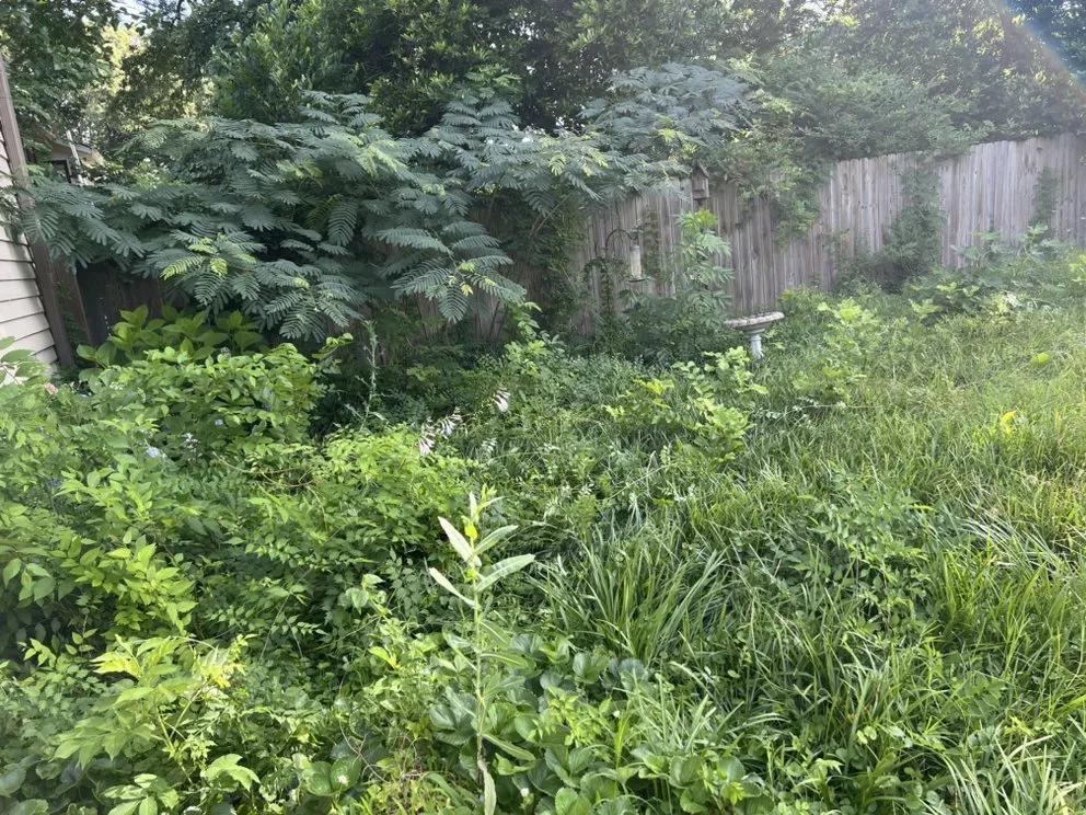 Top-rated outdoor landscaping experts serving Memphis, TN - I&A landscaping