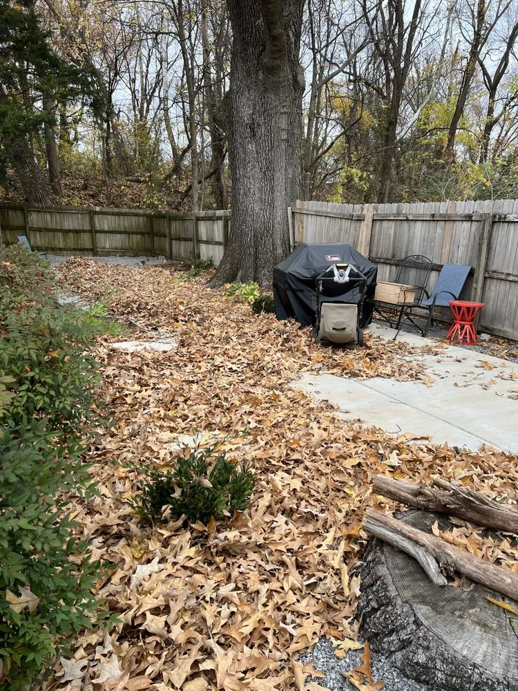 Professional yard cleanup service in Memphis, TN by I&A landscaping