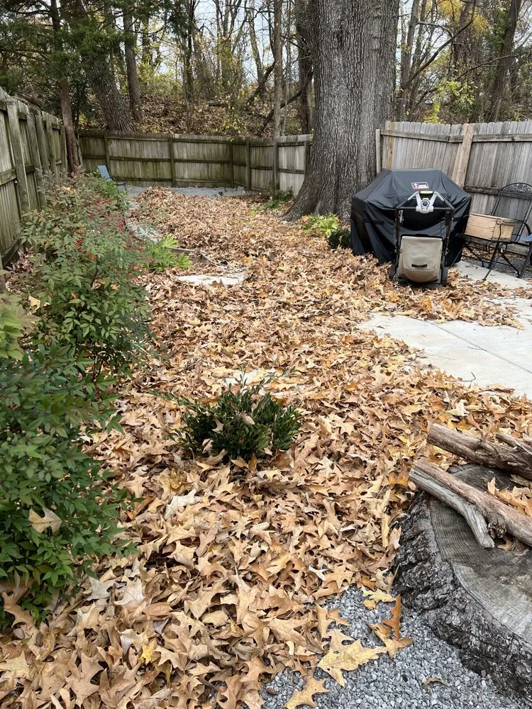 Expert landscape installation in Memphis, TN by I&A landscaping