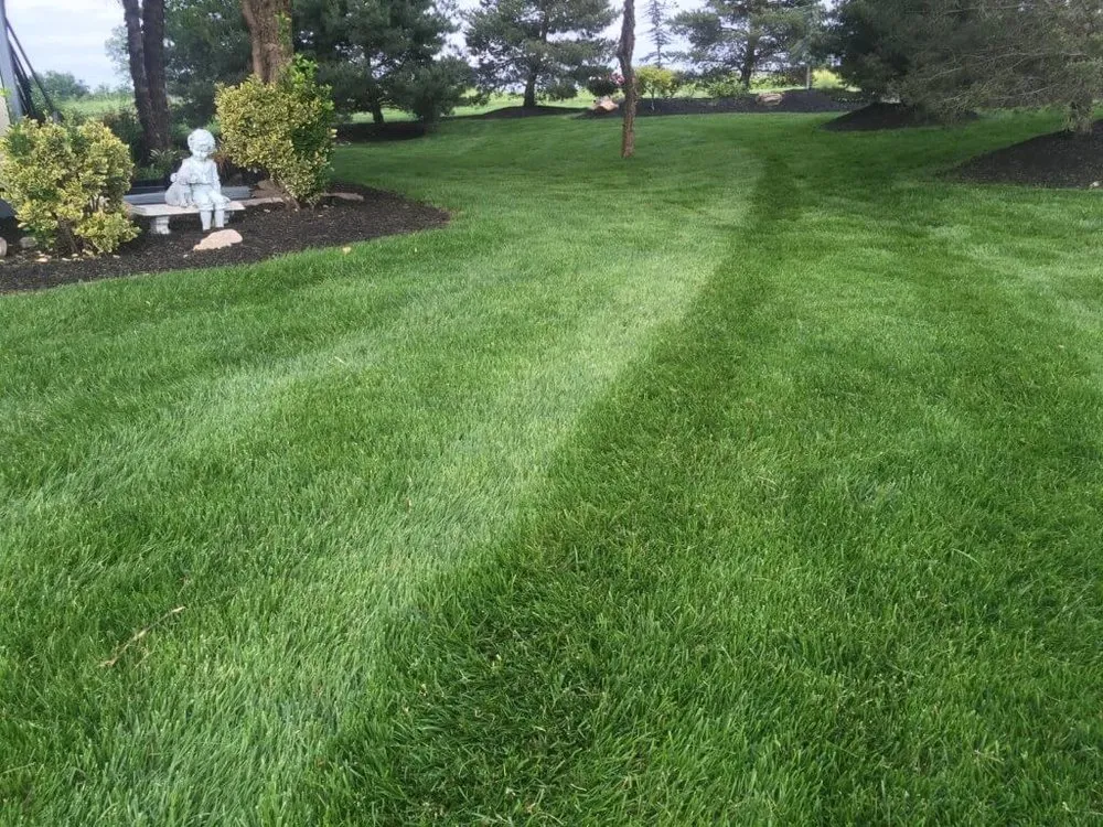Professional lawn care service near you in Kansas City, KS by I&A Lawncare and Landscaping Services