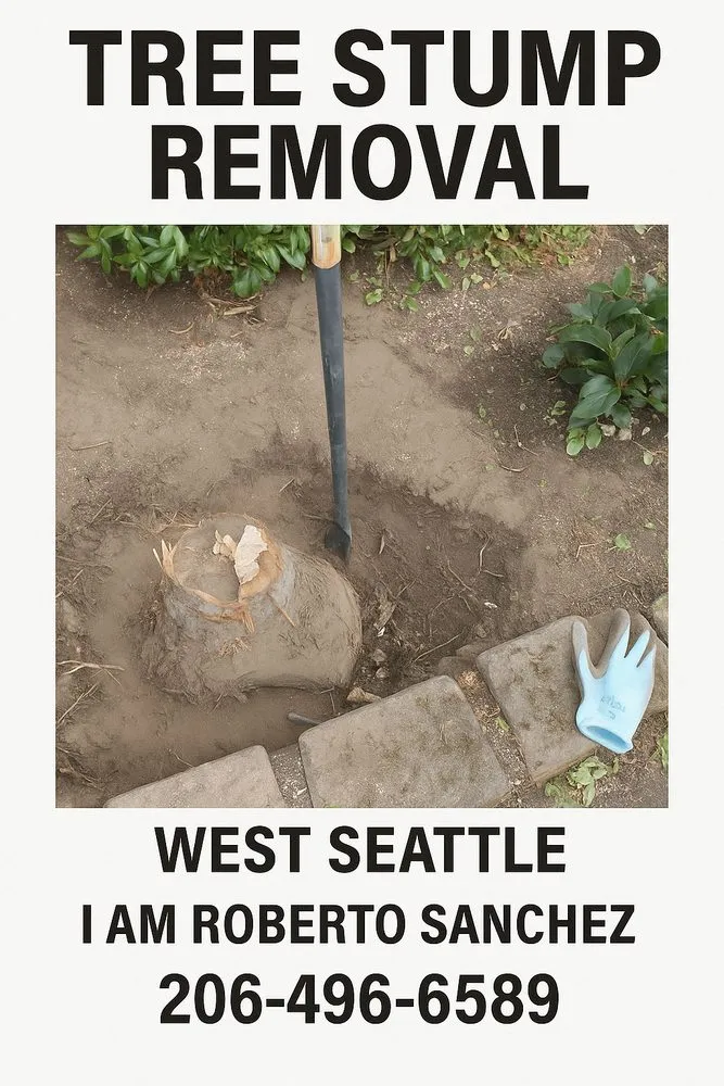 Affordable lawn care service experts serving Seattle, WA - Iam Roberto Sanchez