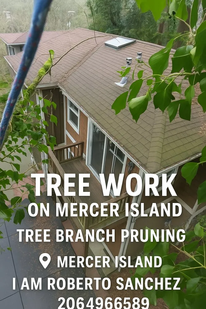 Trusted residential landscaping for residential properties across Seattle, WA - Iam Roberto Sanchez