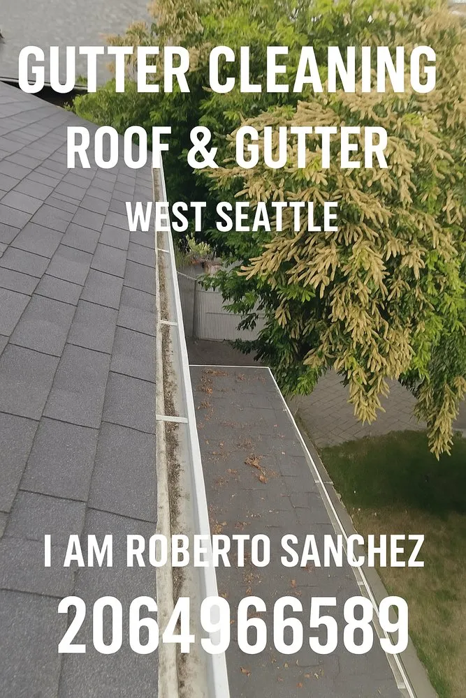 Custom landscaping services in Seattle, WA by Iam Roberto Sanchez