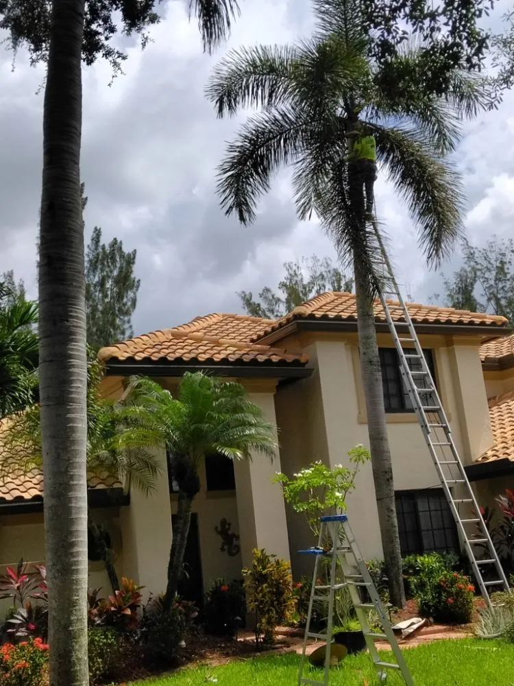 Custom landscape design in Hollywood, FL by Ian and Kendall Landscaping