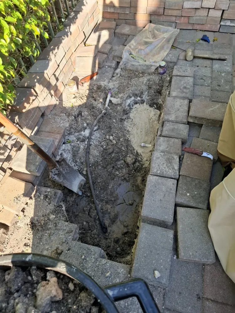 Local landscaping services for year-round maintenance across Hollywood, FL - Ian and Kendall Landscaping