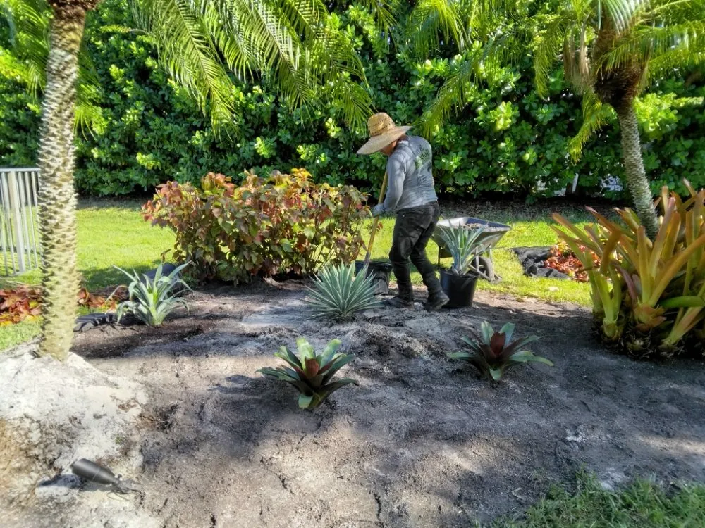 Professional yard cleanup service near you across Hollywood, FL - Ian and Kendall Landscaping