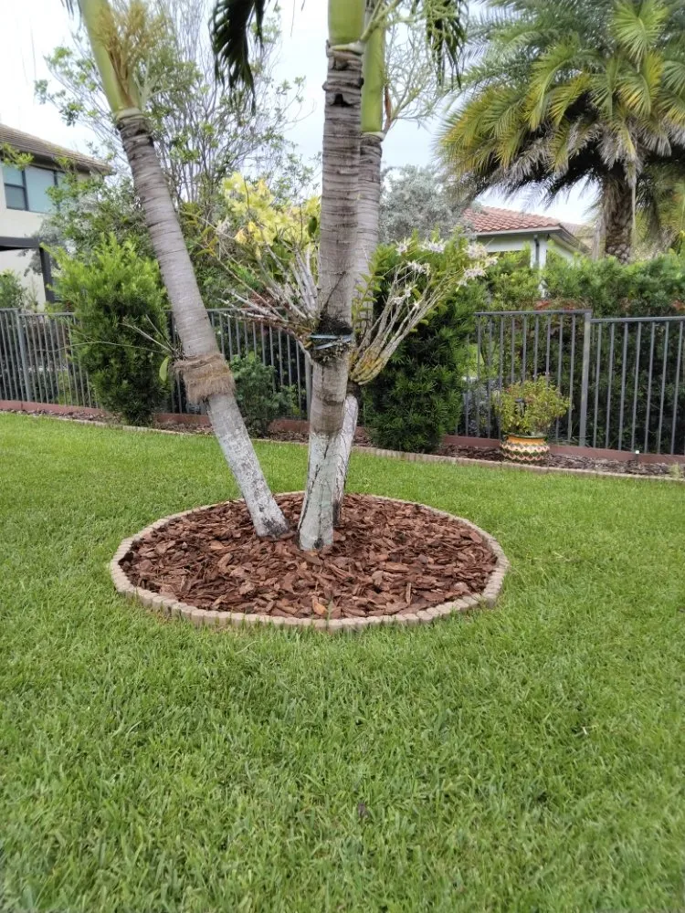 Trusted lawn care service with custom design across Hollywood, FL - Ian and Kendall Landscaping