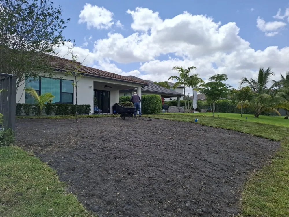 Professional lawn care service in Hollywood, FL by Ian and Kendall Landscaping