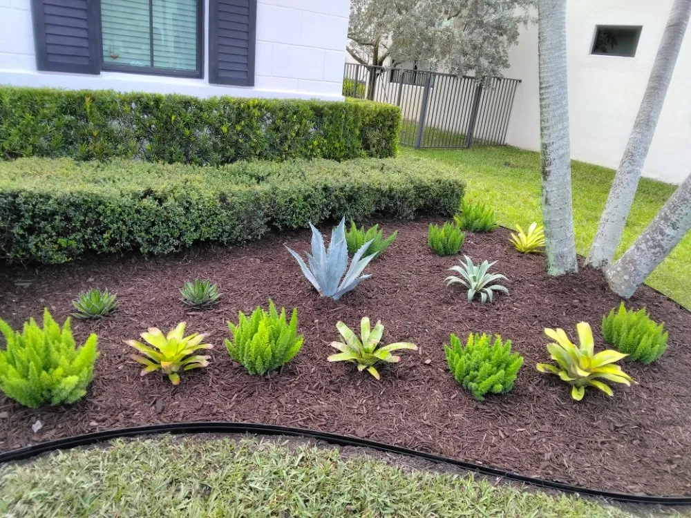 Expert lawn care service in Hollywood, FL by Ian and Kendall Landscaping