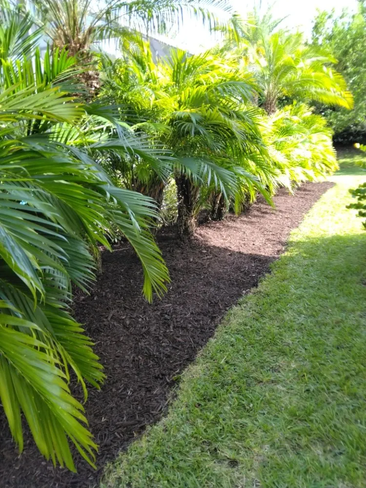 Custom yard maintenance for homes across Hollywood, FL - Ian and Kendall Landscaping