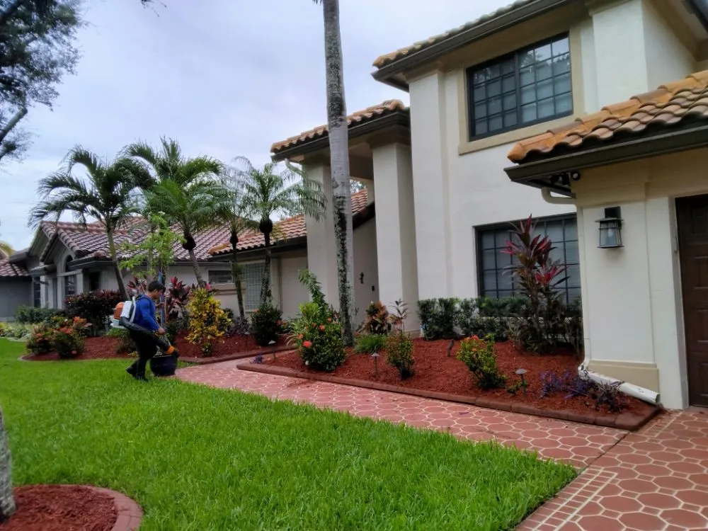 Top-rated lawn mowing service for year-round maintenance in Hollywood, FL by Ian and Kendall Landscaping