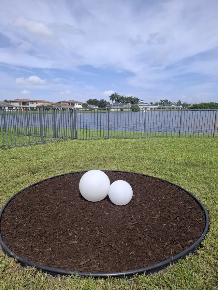 Local landscape design in Hollywood, FL by Ian and Kendall Landscaping