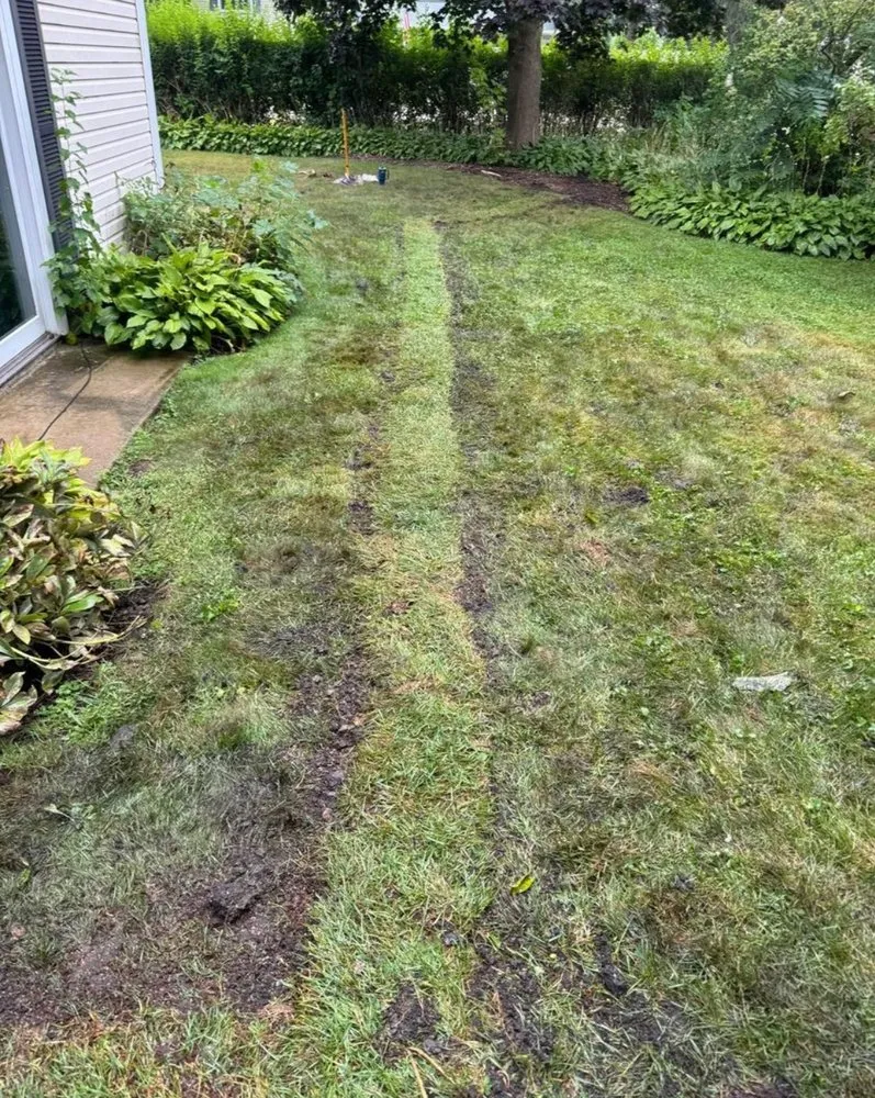 Reliable landscape installation in Round Lake Beach, IL by IAN Lanscaping and Tree Service