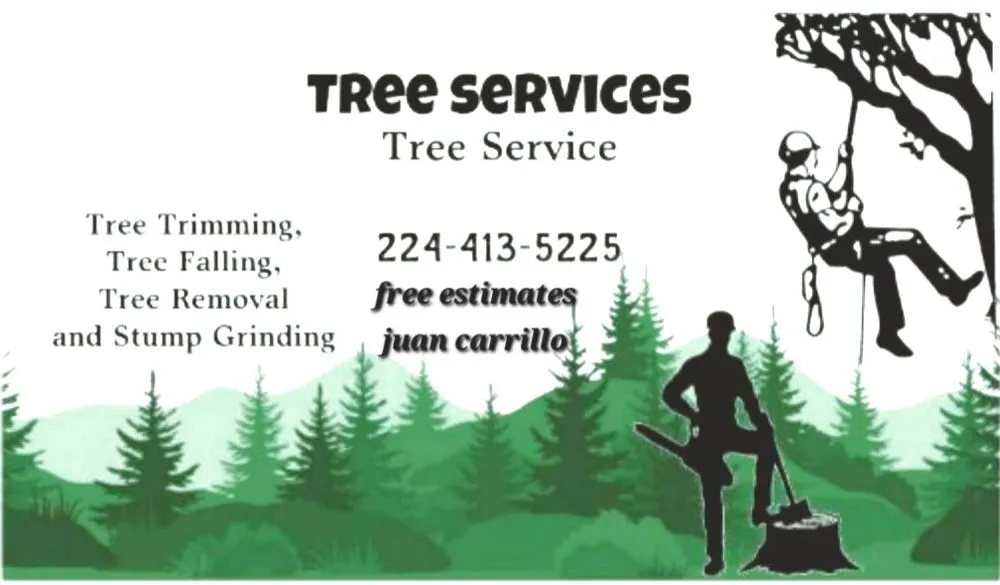 Trusted landscape design in Round Lake Beach, IL - IAN Lanscaping and Tree Service