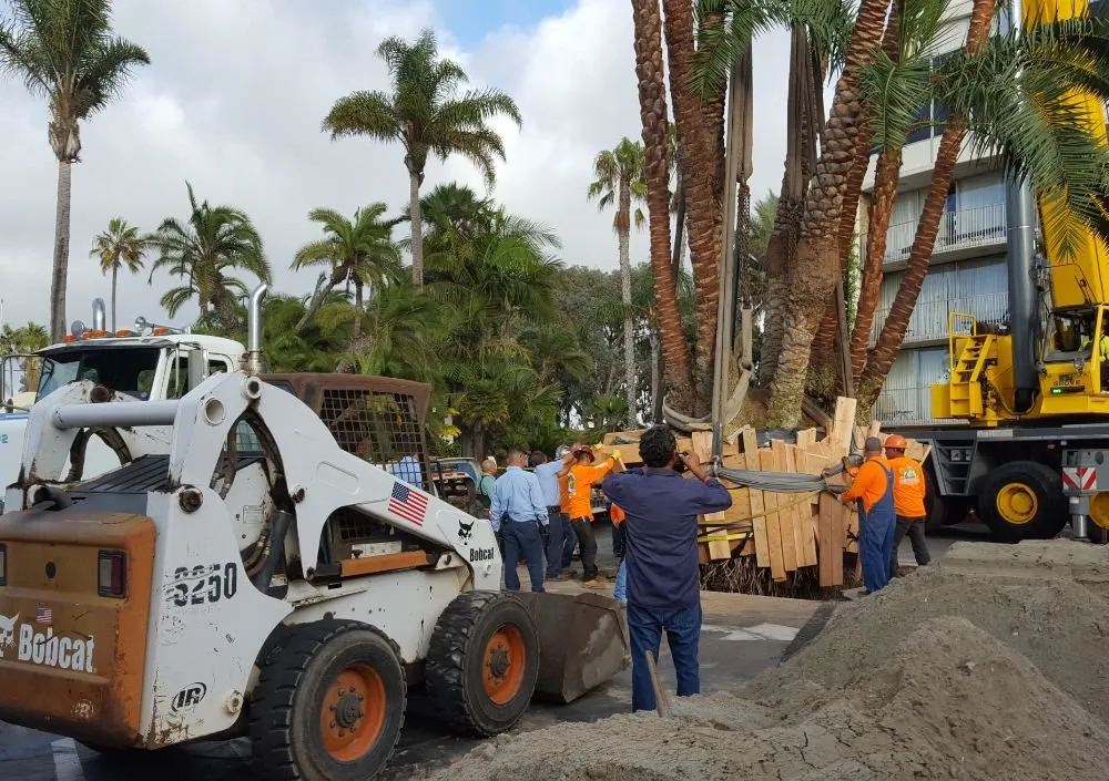 Reliable landscape installation in San Diego, CA by IAN Myles Bobcat And Dump Truck