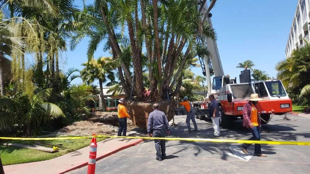 Expert landscaping services near you in San Diego, CA by IAN Myles Bobcat And Dump Truck