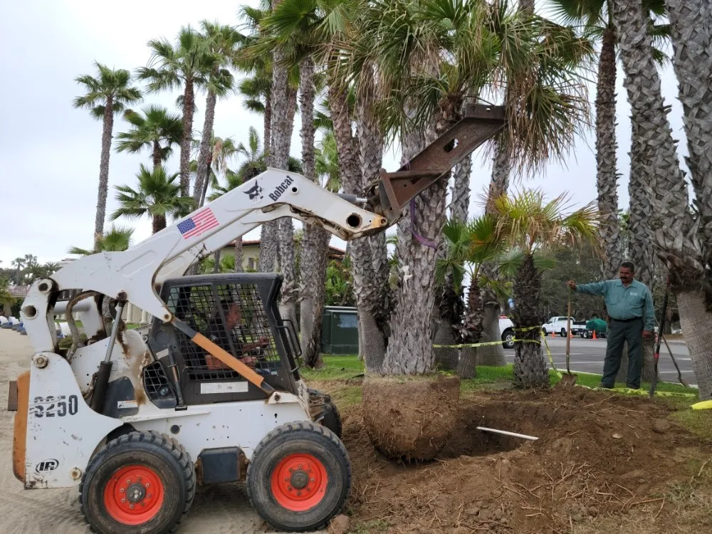 Professional landscape design for beautiful yards across San Diego, CA - IAN Myles Bobcat And Dump Truck