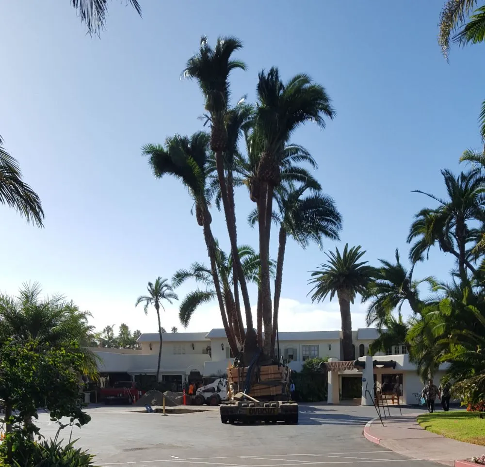 Reliable landscape installation experts serving San Diego, CA - IAN Myles Bobcat And Dump Truck