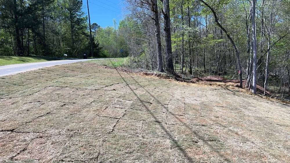Professional yard maintenance for year-round maintenance across Brookhaven, GA - Ians Construction