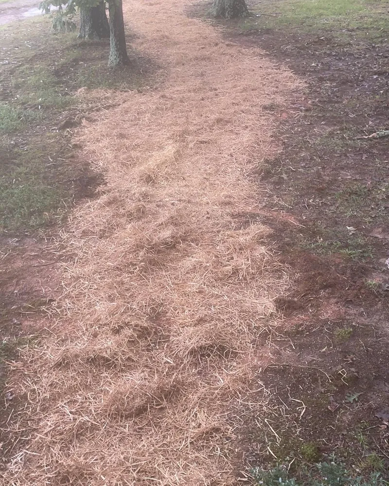 Professional outdoor landscaping experts serving Brookhaven, GA - Ians Construction