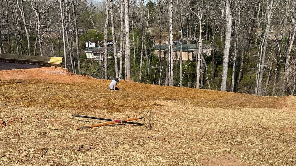 Expert yard cleanup service for residential properties across Brookhaven, GA - Ians Construction