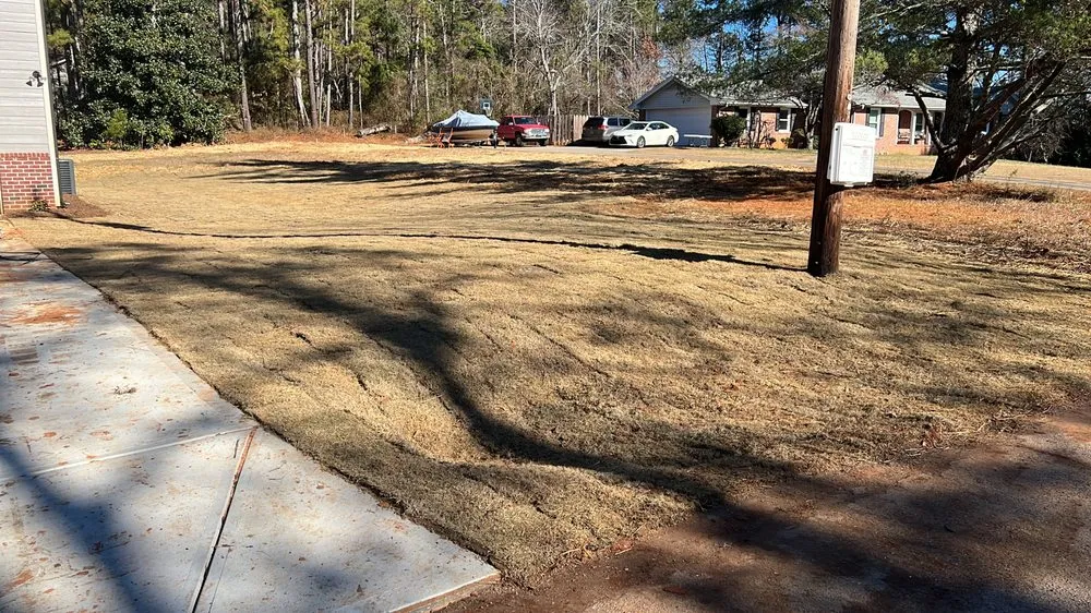 Affordable yard cleanup service in Brookhaven, GA by Ians Construction