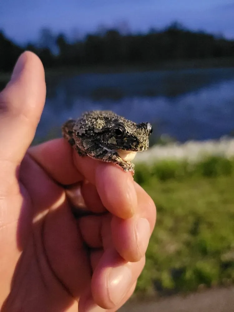 Expert residential landscaping experts serving Fort Wayne, IN - Ian's Lawn service