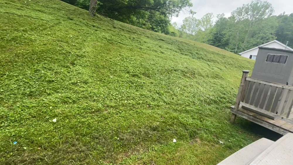 Affordable lawn care service in Olive Hill, KY by Ian’s Lawncare