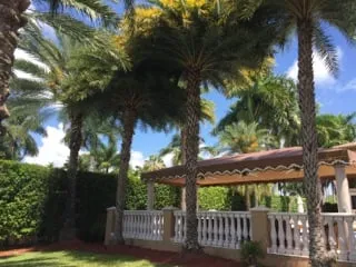 Trusted lawn mowing service near you across Miami, FL - Ians Professional Image