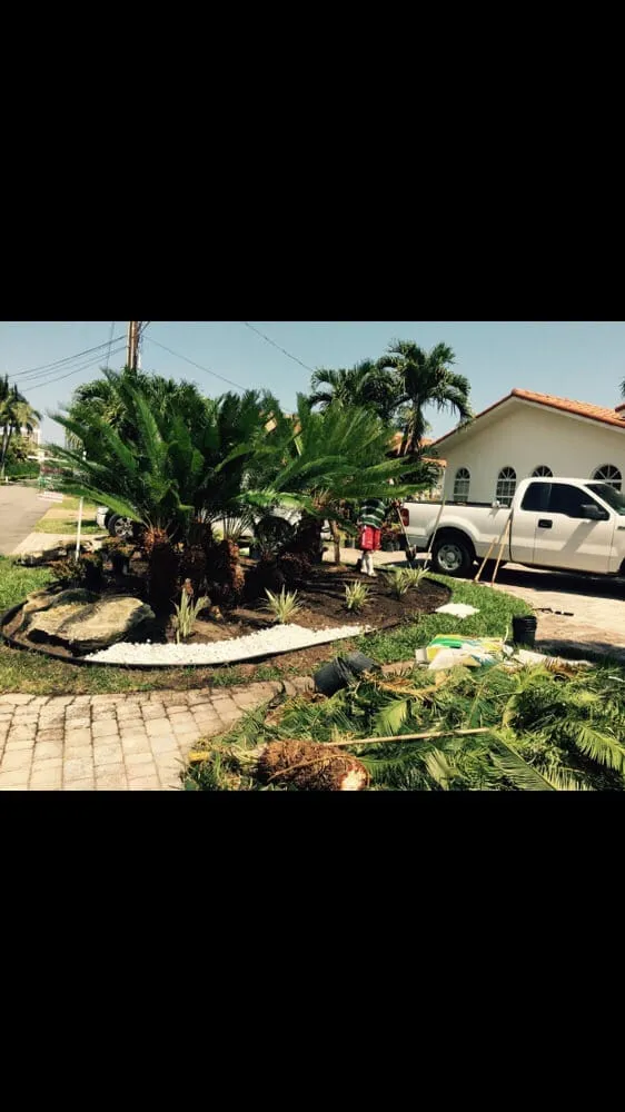 Reliable lawn mowing service experts serving Miami, FL - Ians Professional Image