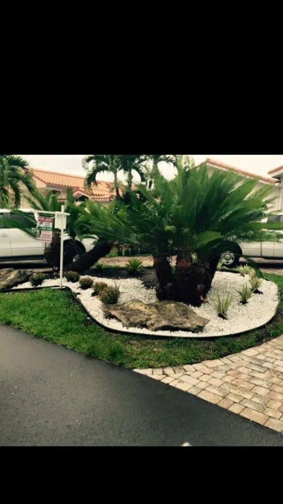 Top-rated yard cleanup service for beautiful yards in Miami, FL by Ians Professional Image