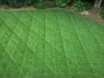 Affordable yard maintenance in Miami, FL by Ians Professional Image