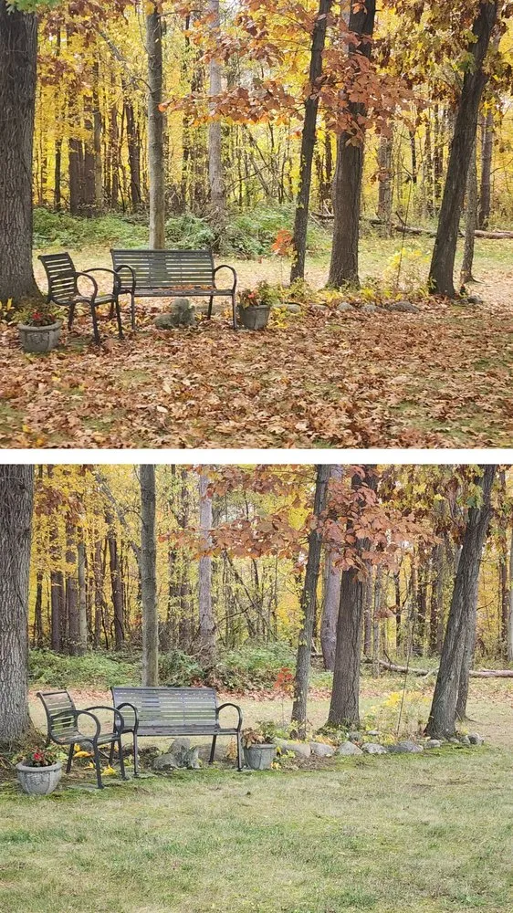 Custom yard cleanup service experts serving Mattawan, MI - IAT Property Management