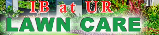 Custom residential landscaping for beautiful yards in St Petersburg, FL by IB At Ur Lawn Care