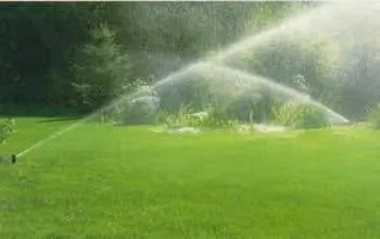 Custom landscape installation experts serving St Petersburg, FL - IB At Ur Lawn Care